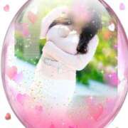 ヒメ日記 2025/12/26 09:30 投稿 あずさ 佐世保人妻デリヘル「デリ夫人」