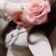 ヒメ日記 2025/06/03 15:30 投稿 あん consolation