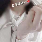 ヒメ日記 2025/06/03 16:30 投稿 あん consolation