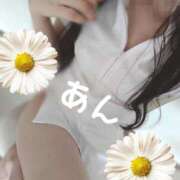 ヒメ日記 2025/09/19 22:02 投稿 あん consolation