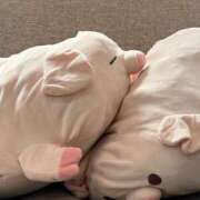 ヒメ日記 2025/04/19 14:53 投稿 れな☆シンデレラ JKサークル