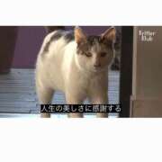 ヒメ日記 2025/06/25 23:57 投稿 みま マリン宮殿雄琴店