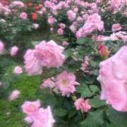 ヒメ日記 2025/05/12 16:16 投稿 ミレイ マテリアル