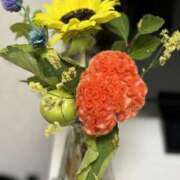 ヒメ日記 2025/04/28 19:51 投稿 ゆの 春日部人妻花壇