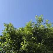 ヒメ日記 2025/05/07 09:02 投稿 ゆの 春日部人妻花壇