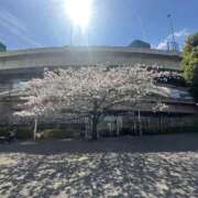 ヒメ日記 2026/04/04 21:21 投稿 中川 渋谷人妻城