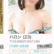 ヒメ日記 2025/05/08 11:09 投稿 ハロン ビギナーズ神戸