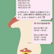 ヒメ日記 2025/11/04 18:51 投稿 ハロン ビギナーズ神戸