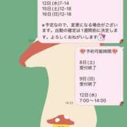 ヒメ日記 2025/11/07 22:31 投稿 ハロン ビギナーズ神戸