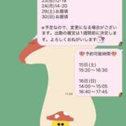 ヒメ日記 2025/11/14 12:02 投稿 ハロン ビギナーズ神戸