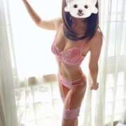 ヒメ日記 2025/11/18 00:31 投稿 ハロン ビギナーズ神戸