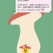 ヒメ日記 2025/11/18 00:47 投稿 ハロン ビギナーズ神戸