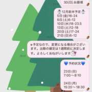 ヒメ日記 2025/11/21 20:51 投稿 ハロン ビギナーズ神戸