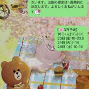 ハロン ハロンです ビギナーズ神戸