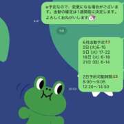 ハロン 6月予定 ビギナーズ神戸