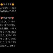 ハロン 10月11月予定 ビギナーズ神戸