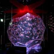 ヒメ日記 2025/05/11 19:05 投稿 まなみ 宮崎ちゃんこ都城店