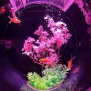 ヒメ日記 2025/05/24 18:34 投稿 まなみ 宮崎ちゃんこ都城店