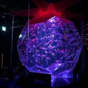 ヒメ日記 2025/05/24 18:35 投稿 まなみ 宮崎ちゃんこ都城店