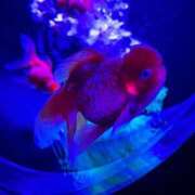 ヒメ日記 2025/05/24 18:46 投稿 まなみ 宮崎ちゃんこ都城店