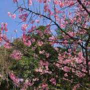 まなみ 本日、出勤します🥰 宮崎ちゃんこ都城店