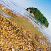 ヒメ日記 2025/04/09 14:34 投稿 Ｍiina（みいな） AMATERAS(アマテラス)(福山)