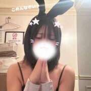 ヒメ日記 2025/05/03 18:57 投稿 ユウリ♡業界未経験 ドMなバニーちゃん 名古屋・池下店