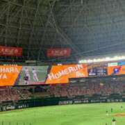 ヒメ日記 2025/10/04 10:01 投稿 りら☆ CLUB PIAA