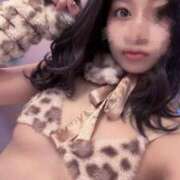 ヒメ日記 2025/06/01 08:01 投稿 鈴木せいな ウルトラプラチナム