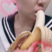 ヒメ日記 2025/05/15 14:30 投稿 きょうこ スイカ