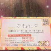 ヒメ日記 2025/05/22 23:45 投稿 きょうこ スイカ