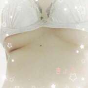 ヒメ日記 2025/05/23 14:26 投稿 きょうこ スイカ