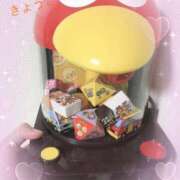 ヒメ日記 2025/06/09 14:37 投稿 きょうこ スイカ