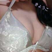 ヒメ日記 2025/06/11 23:06 投稿 きょうこ スイカ