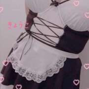 ヒメ日記 2025/06/26 14:43 投稿 きょうこ スイカ