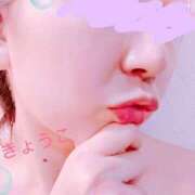 ヒメ日記 2025/06/27 03:47 投稿 きょうこ スイカ