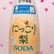 ヒメ日記 2025/07/19 15:01 投稿 きょうこ スイカ