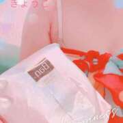 ヒメ日記 2025/07/24 15:48 投稿 きょうこ スイカ