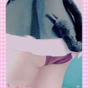 ヒメ日記 2025/07/31 14:47 投稿 きょうこ スイカ