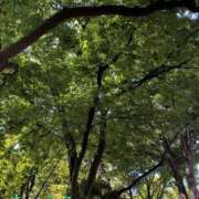 ヒメ日記 2025/08/03 15:44 投稿 きょうこ スイカ