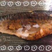 ヒメ日記 2025/08/05 15:47 投稿 きょうこ スイカ