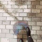 ヒメ日記 2025/08/08 15:50 投稿 きょうこ スイカ