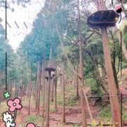 ヒメ日記 2025/08/11 15:46 投稿 きょうこ スイカ