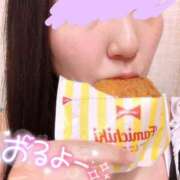 ヒメ日記 2025/08/16 15:59 投稿 きょうこ スイカ