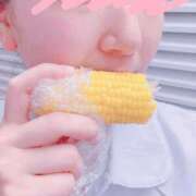 ヒメ日記 2025/09/09 15:55 投稿 きょうこ スイカ