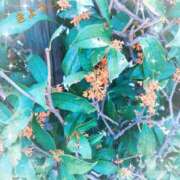 ヒメ日記 2025/10/29 16:34 投稿 きょうこ スイカ