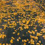 ヒメ日記 2025/12/12 19:48 投稿 きょうこ スイカ