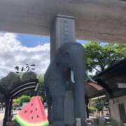 きょうこ 6月スタート！ スイカ
