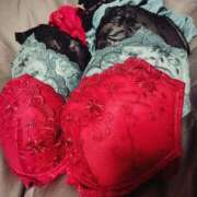 ヒメ日記 2026/01/16 19:49 投稿 ゆいな 逢って30秒で即尺