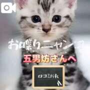 ヒメ日記 2026/02/23 01:02 投稿 真玖(しんく) PLUS梅田店